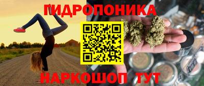 круглые Пушкино