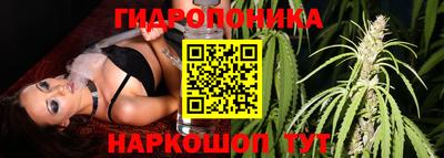 круглые Пушкино